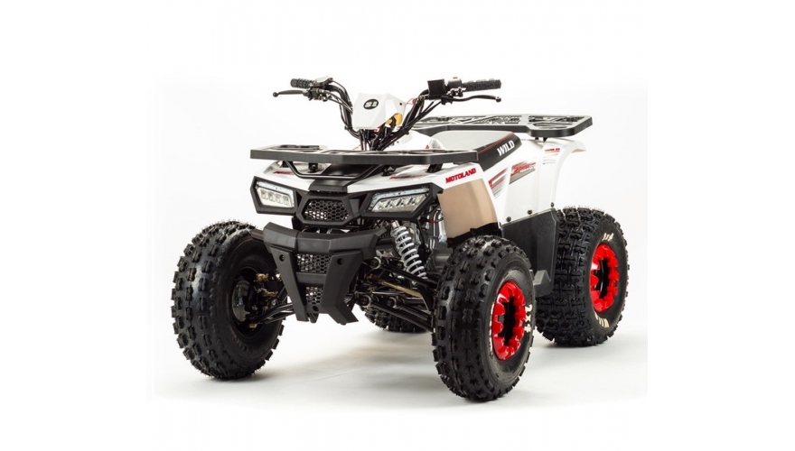 купить Квадроцикл MotoLand ATV 125 WILD BASIC