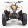 купить Квадроцикл MotoLand ATV 125 COYOTE