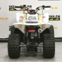 купить Квадроцикл MotoLand ATV 125 COYOTE