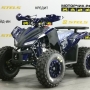 купить Квадроцикл MotoLand ATV 125 COYOTE