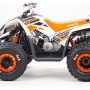 купить Квадроцикл MotoLand ATV 125 COYOTE