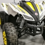 купить Квадроцикл MotoLand ATV 125 COYOTE