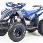 купить Квадроцикл MotoLand ATV 125 COYOTE