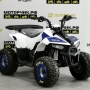 купить Квадроцикл MotoLand ATV 110 EAGLE