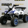 купить Квадроцикл MotoLand ATV 110 EAGLE