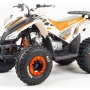 купить Квадроцикл MotoLand ATV 125 COYOTE