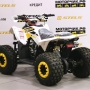 купить Квадроцикл MotoLand ATV 125 COYOTE