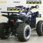 купить Квадроцикл MotoLand ATV 125 COYOTE