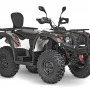 купить Квадрицикл Baltmotors Striker 500 EFI