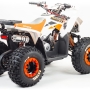 купить Квадроцикл MotoLand ATV 125 COYOTE