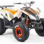 купить Квадроцикл MotoLand ATV 125 COYOTE