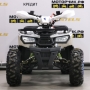 купить Квадроцикл MotoLand ATV 125 WILD