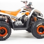 купить Квадроцикл MotoLand ATV 125 COYOTE