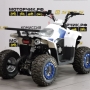 купить Квадроцикл MotoLand ATV 110 EAGLE