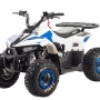 купить Квадроцикл MotoLand ATV 110 EAGLE