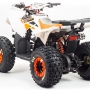 купить Квадроцикл MotoLand ATV 125 COYOTE