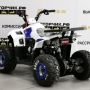 купить Квадроцикл MotoLand ATV 110 EAGLE