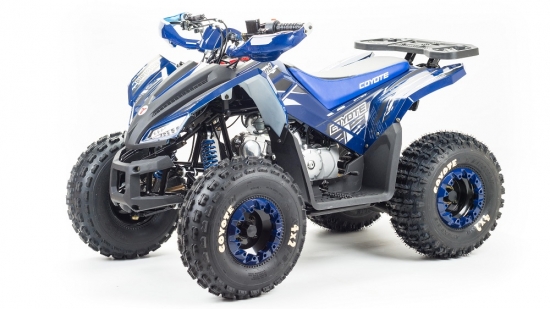 купить Квадроцикл MotoLand ATV 125 COYOTE