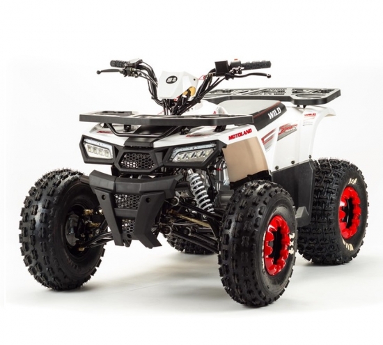 купить Квадроцикл MotoLand ATV 125 WILD BASIC