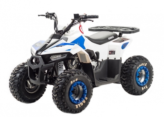 купить Квадроцикл MotoLand ATV 110 EAGLE