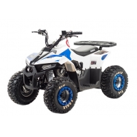 купить Квадроцикл MotoLand ATV 110 EAGLE