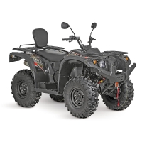 купить Квадрицикл Baltmotors Striker 700 EFI